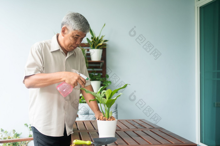 快乐和微笑亚洲老上了年纪的男人。种植为爱好后退休首页概念快乐生活方式和好健康为老年人