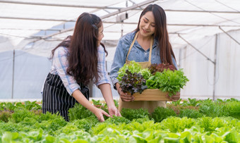 亚洲女人农民持有蔬菜篮子新鲜的蔬菜沙拉有机农场概念农业有机为健康素食主义者食物和小业务