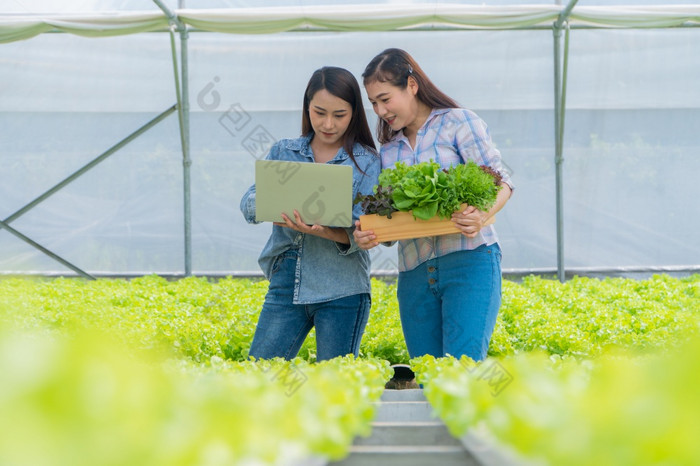 亚洲女人农民持有蔬菜篮子新鲜的蔬菜沙拉有机农场和使用移动PC检查客户订单概念农业有机为健康和小业务