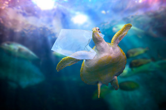 塑料<strong>海洋</strong>乌龟是吃塑料袋下的蓝色的海环境保护概念和不扔<strong>垃圾</strong>成的海