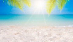夏天假期白色沙子海滩与空间为文本椰子叶子后框架海视图精力充沛的地板上