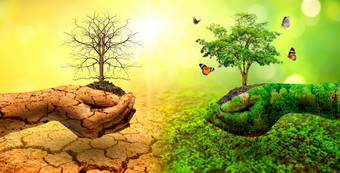 树两个手与非常不同的环境地球一天世界环境一天全球气候变暖和污染