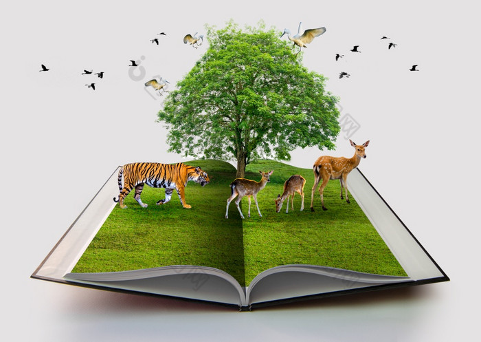 野生动物保护老虎鹿鸟环境书自然孤立的白色开放书纸回收呈现书自然与草和树增长在白色背景
