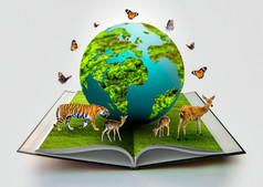 的全球的书和在那里是野生动物这样的老虎鹿和蝴蝶旁边的世界