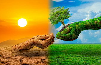 树两个手与非常不同的环境地球一天世界环境一天全球气候变暖和污染