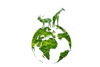 绿色世界与野生动物轮廓野生动物保护概念