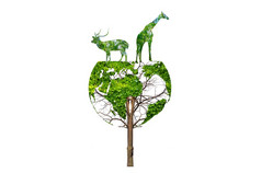 野生动物轮廓地球野生动物保护概念