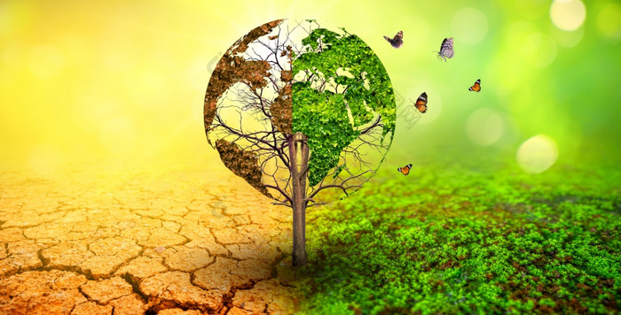 树两个与非常不同的环境地球一天世界环境一天全球气候变暖和污染
