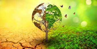 树两个与非常不同的环境<strong>地球</strong>一天世界环境一天全球气候<strong>变暖</strong>和污染
