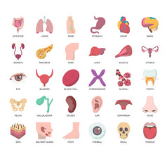 集人类器官薄行和像素完美的图标为任何网络和应用程序项目