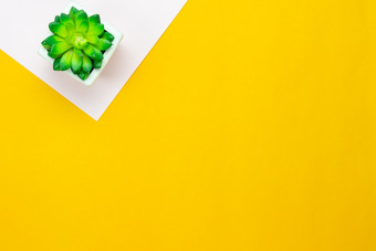 表格前视图空中图像最小的背景conceptflat躺树能现代乡村黄色的粉红色的纸首页办公室桌多背景与柔和的无色调空间为有创意的设计