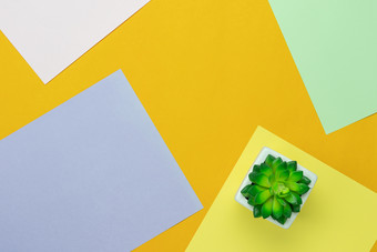 表格前视图空中图像最小的背景conceptflat躺绿色树能现代乡村色彩斑斓的纸首页办公室deskbackdrop与柔和的无色调空间为有创意的设计
