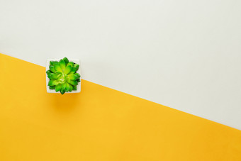 表格前视图空中图像最小的背景conceptflat躺树能现代乡村黄色的绿色纸首页办公室桌多背景与柔和的无色调空间为有创意的设计