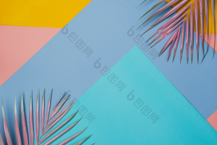 表格前视图空中图像夏天季节假期背景概念平躺椰子棕榈色彩斑斓的叶现代乡村柔和的纸背景免费的空间为有创意的设计模拟为内容