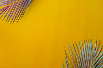 表格前视图空中图像夏天季节假期背景概念平躺椰子棕榈叶现代乡村黄色的纸背景免费的空间为有创意的设计模拟文本为内容