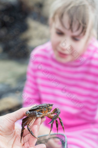 年轻的女孩看蟹发现岩石池海滩