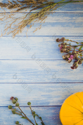 前视图秋天橙色南瓜和干花和草盒子感恩节背景在蓝色的健美的木表格与复制空间模板为秋天收获情绪文本