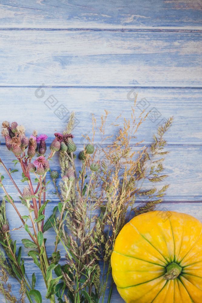 前视图秋天橙色南瓜和干花和草感恩节背景在蓝色的健美的木表格与复制空间模板为秋天收获情绪文本