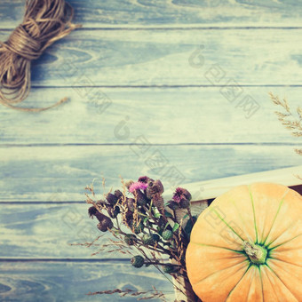 广场前视图秋天橙色南瓜和干花和草盒子感恩节背景在蓝色的健美的木表格与复制空间模板为秋天收获情绪文本