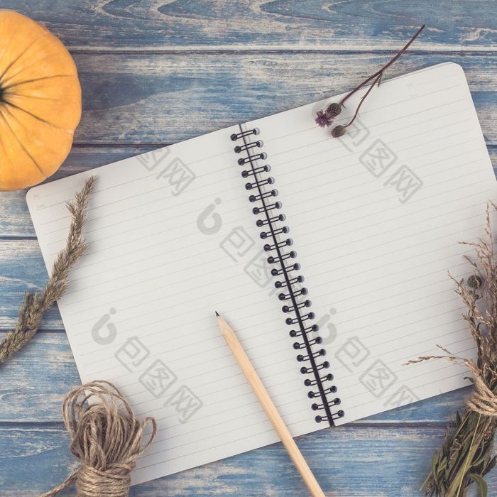 广场前视图秋天橙色南瓜和干花与草感恩节背景在蓝色的健美的木表格与笔记本模拟和复制空间乡村风格模板为文本