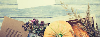 长宽横幅前视图秋天橙色南瓜和干花与草感恩节背景在蓝色的健美的木表格与空白信和复制空间乡村风格模板为文本