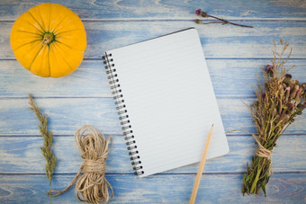前视图秋天橙色南瓜和干花与草感恩节背景在蓝色的健美的木表格与笔记本模拟和复制空间乡村风格模板为文本