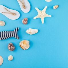 有创意的平躺概念夏天旅行假期前视图贝壳和海星绿松石蓝色的背景与明信片模拟和复制空间最小的风格模板为文本