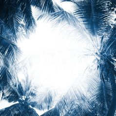 热带框架模式与棕榈树和复制空间为假期旅行设计颜色的一年经典蓝色的健美的