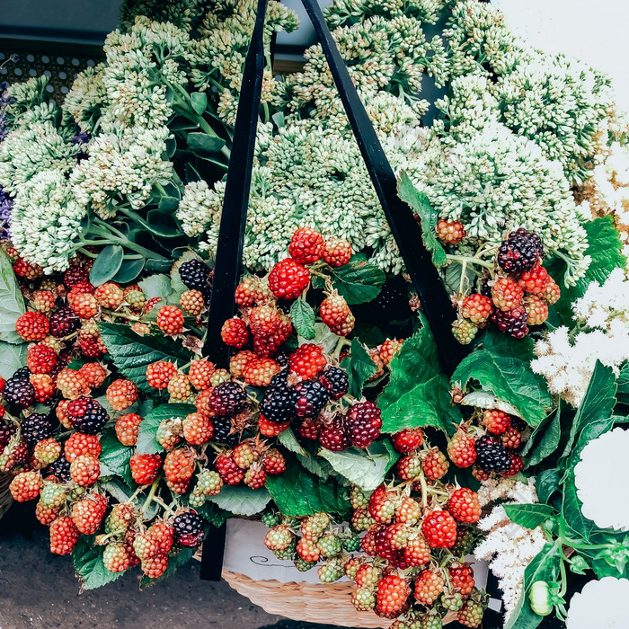 美丽的新鲜的装饰绿色植物分支机构黑莓小花店商店现代风格花安排生活方式自然光作文小业务移动照片