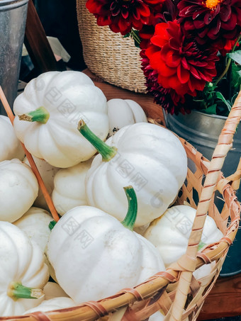 美丽的新鲜的装饰白色南瓜桩篮子小花店商店现代风格乡村安排生态可持续发展的生活方式自然光作文小业务移动照片
