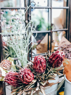 美丽的装饰异国情调的山龙眼花和植物小花店商店现代风格花安排生活方式自然光作文小业务移动照片