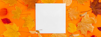 秋天平躺作文与明信片模型和干叶子大胆的橙色颜色背景有创意的秋天感恩节秋天万圣节概念前视图复制空间