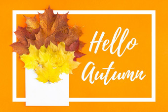 有创意的前视图平躺秋天概念作文信封干明亮的秋天叶子橙色纸背景鼓舞人心的消息你好秋天秋天邀请卡片