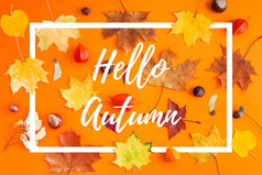有创意的前视图平躺秋天概念作文干明亮的秋天叶子橙色纸框架背景鼓舞人心的消息你好秋天秋天感恩节邀请卡
