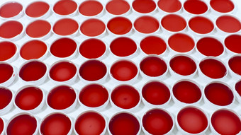 关闭视图集临床样品红色的液体轮塑料容器白色表面集临床样品红色的液体轮塑料容器白色表面