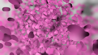 粉红色的心形的花瓣下降白色背景与浅深度场情人节一天背景插图