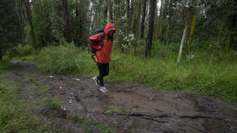 一边视图拉美裔女人与黑色的背包和红色的防水夹克走独自一人泥泞的小道通过森林在的一天拉美裔女人与黑色的背包和红色的防水夹克走泥泞的小道通过森林在的一天
