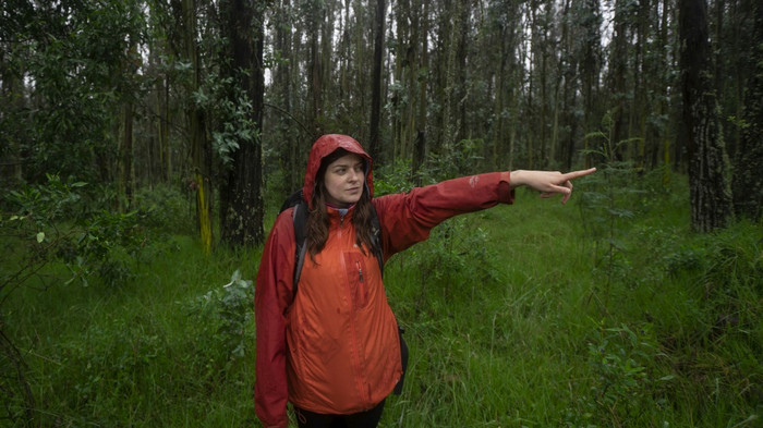 前面视图拉美裔女人与黑色的背包和红色的防水夹克指出的方向与她的伸出的手臂的中间森林在的一天前面视图拉美裔女人与黑色的背包和红色的防水夹克指出的方向与她的伸出的手臂