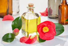 山茶花石油瓶为美皮肤哪健康和药用目的