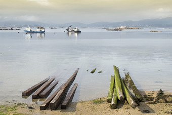 海景观加利西亚海岸<strong>贻贝</strong>船和<strong>贻贝</strong>床上森林笑低加利西亚西班牙