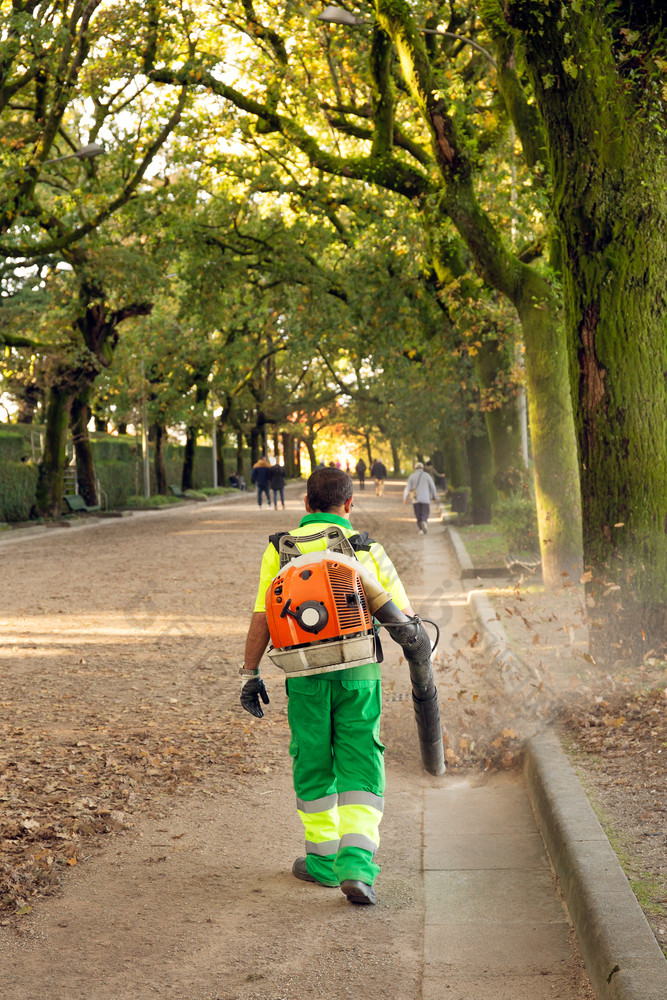 园丁与鼓风机背包工作城市公园吹叶子秋天概念