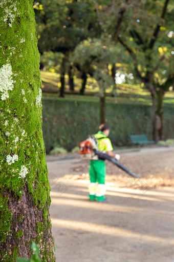 园丁与鼓风机背包工作城市公园吹叶子秋天概念