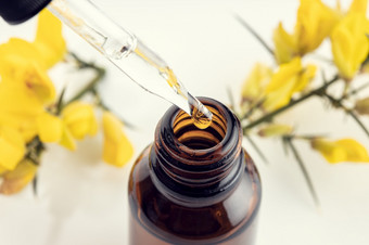 关闭吸管琥珀色的瓶和黄色的花分支背景金雀花至关重要的石油Herbal本质芳香疗法