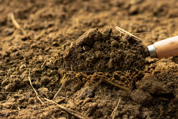 肥料动物肥料为使用农业农业图片