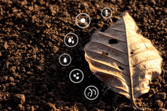 干叶子的地面肥沃的和与图标技术关于微生物退化和各种各样的因素那成为土壤