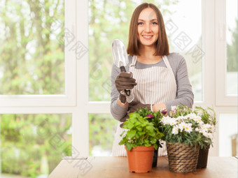 高加索人年轻的女人做一些园艺首页与她的色彩斑斓的植物