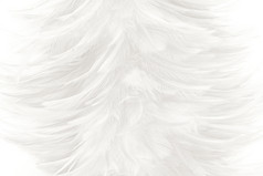美丽的白色羽毛羊毛的模式纹理背景