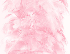 美丽的软粉红色的羽毛模式纹理背景