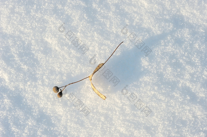 粗纹理的雪重音滑动太阳光