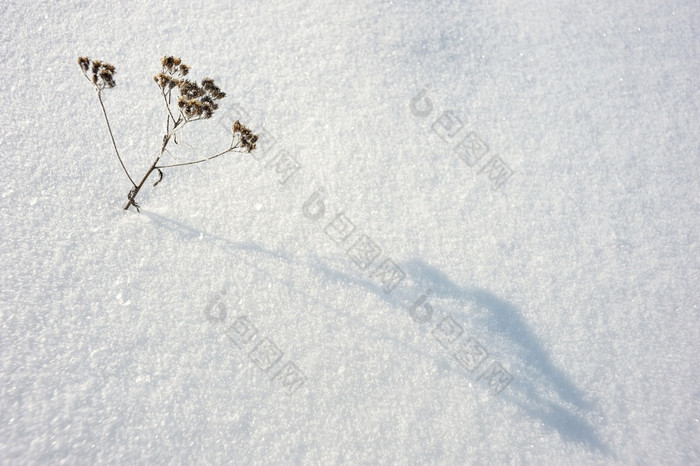 粗纹理的雪重音滑动太阳光